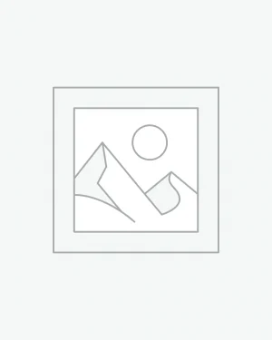 Chat GPT for 1 month shared account